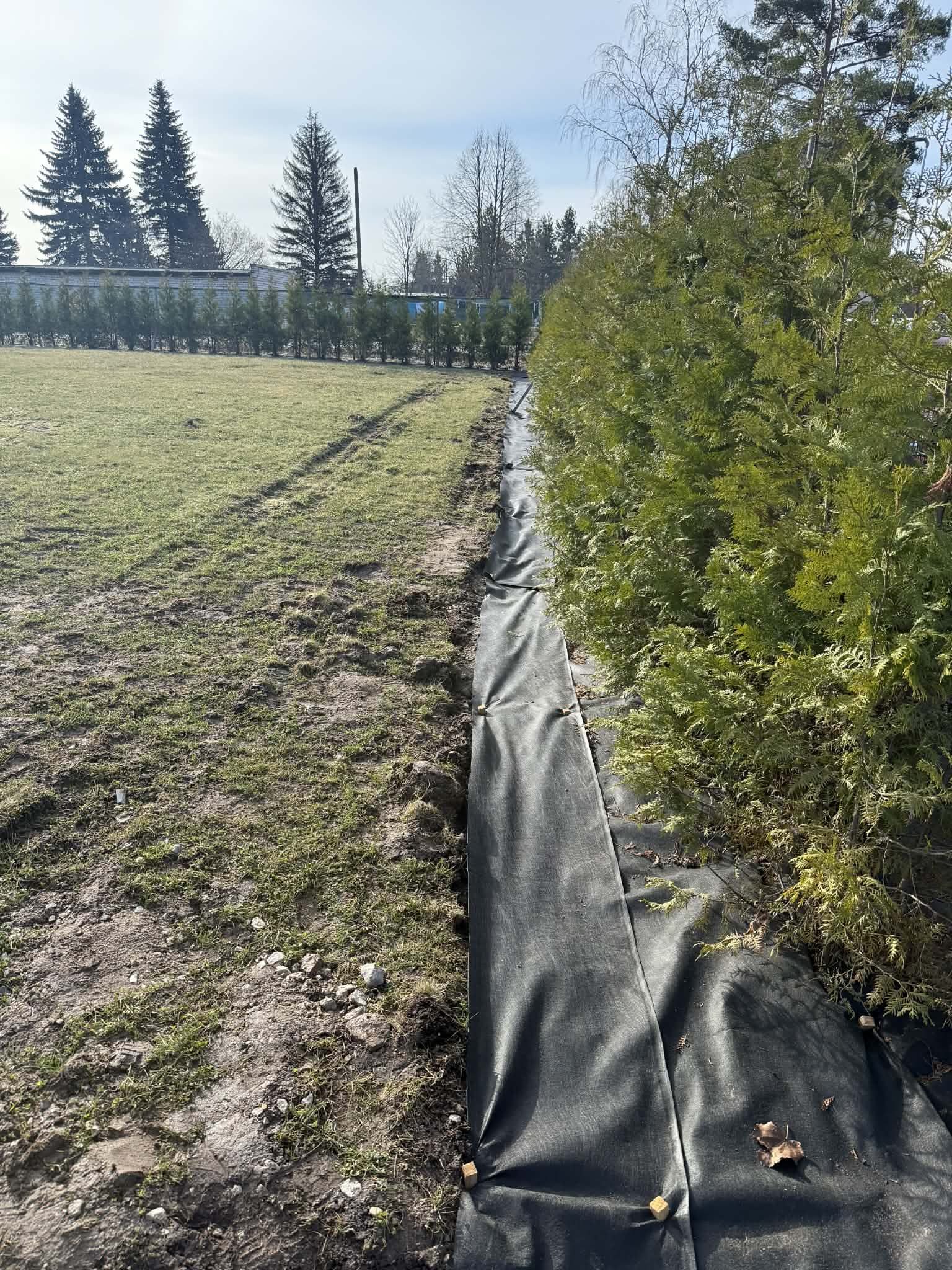 Aiaäär enne haljastuse viimistlust