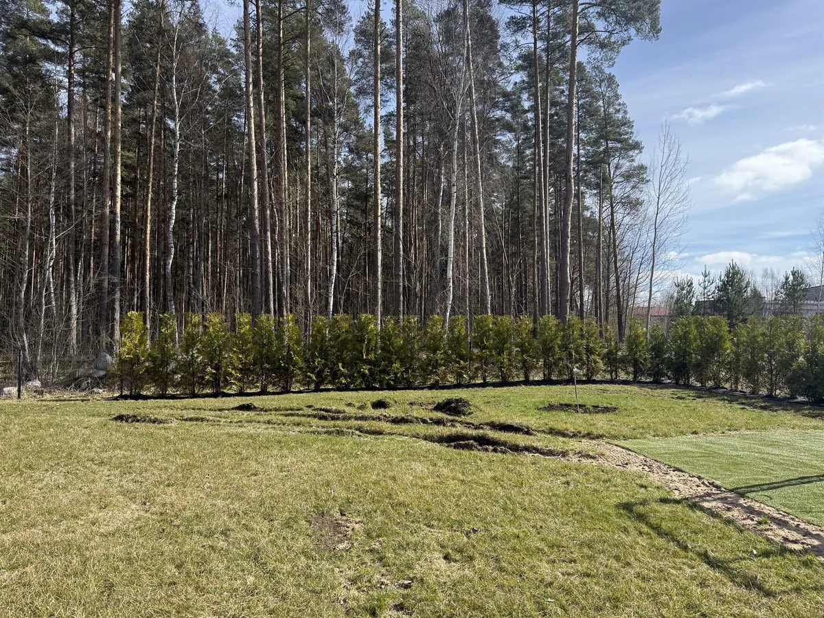 Задняя зона до работ